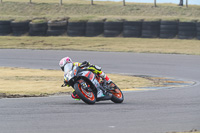 7th-March-2020;Anglesey-Race-Circuit;No-Limits-Track-Day;anglesey-no-limits-trackday;anglesey-photographs;anglesey-trackday-photographs;enduro-digital-images;event-digital-images;eventdigitalimages;no-limits-trackdays;peter-wileman-photography;racing-digital-images;trac-mon;trackday-digital-images;trackday-photos;ty-croes